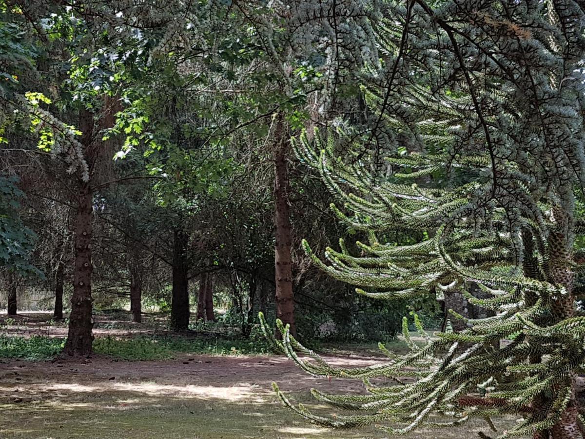 Le Clos Des Ecureuils Vouzon Luaran gambar