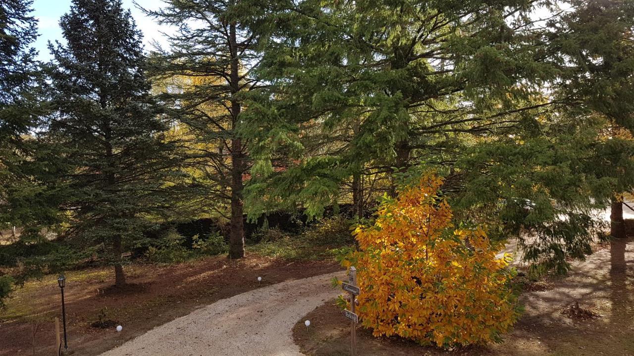Le Clos Des Ecureuils Vouzon Luaran gambar