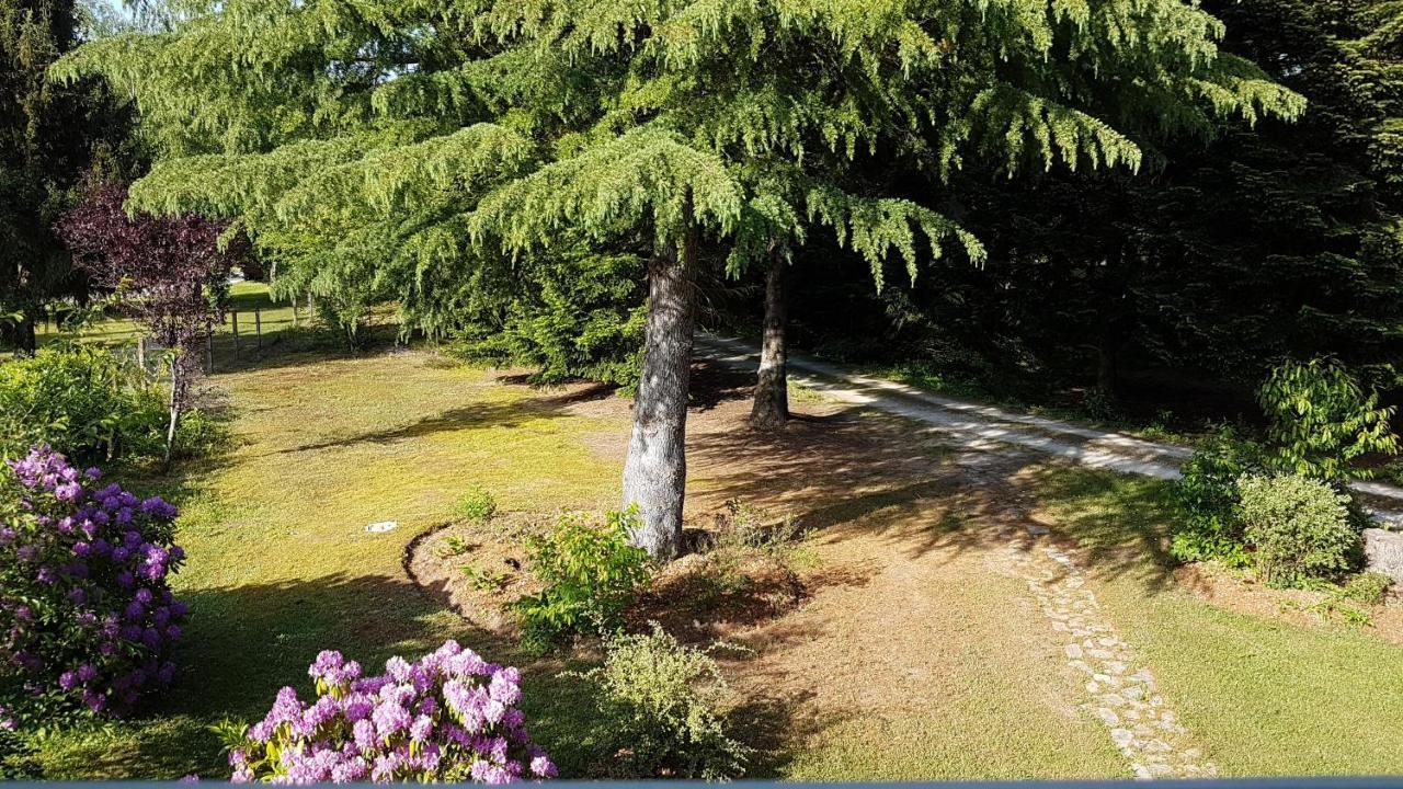 Le Clos Des Ecureuils Vouzon Luaran gambar