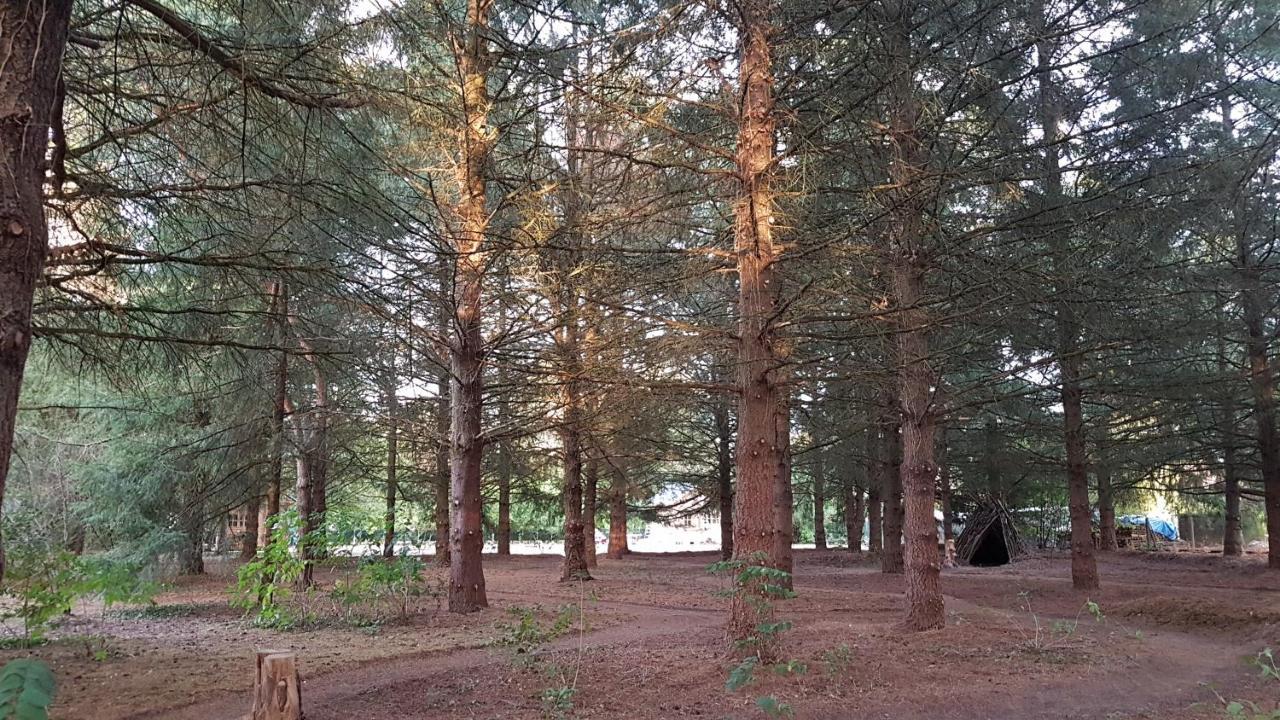 Le Clos Des Ecureuils Vouzon Luaran gambar